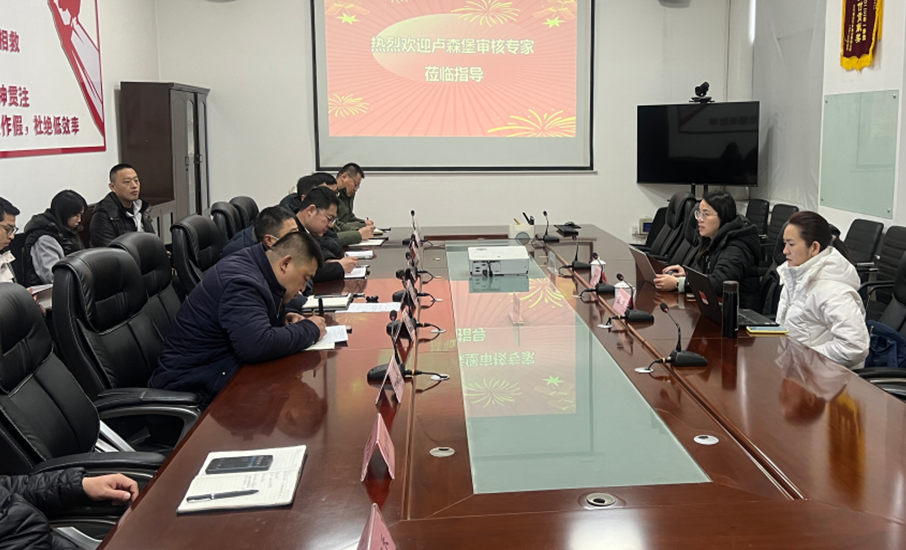 初始审核IA和生产一致性COP审核介绍(图2)